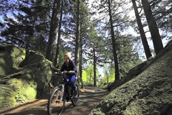 Curta-Metragem "A Minha Bicicleta" (My Bike)