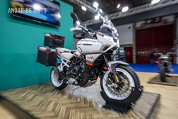 Phelon & Moore Motors em Portugal 