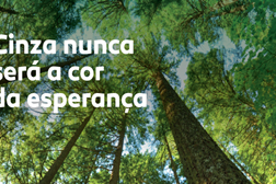 “Terra de Esperança quer plantar 500 mil árvores para reflorestar Portugal”