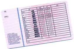 INCM expede 142.000 cartas de condução em 3 semanas