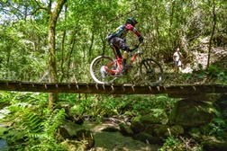 Fim de semana marca o regresso do Memorial Bruno Neves à estrada - E ainda duas etapas da Taça de Portugal de Juniores e BTT com a Taça de Portugal de XCO
