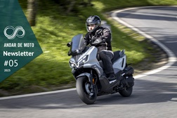 Newsletter nº 05/2025 - 04 de Fevereiro de 2025