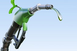 Eni e Moçambique com acordo na produção de matéria-prima agrícola para biocombustíveis - Produção de matéria-prima biológica e Soluções Climáticas Naturais