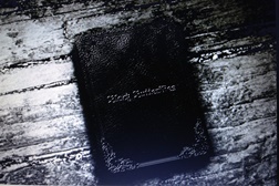 Secret Lie estreiam o video "Black Butterflies"