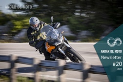 Newsletter nº 20/2024 - 21 de Maio de 2024