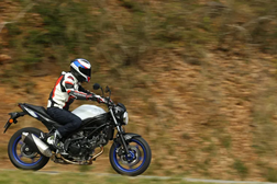 Suzuki anuncia fim de produção das icónicas SV650 e V-Strom 650