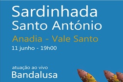 Arraial de Santo António em Anadia
