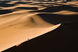 Rali Dakar 2026: etapa 9, Sanders regressa à liderança e portugueses continuam em prova