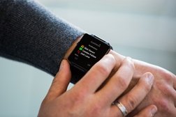 Smartwatch Garmin Vívoactive