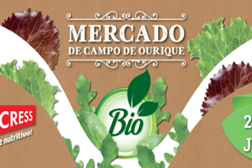 1ª edição do Vitacress Bio Experience chega ao Mercado de Campo de Ourique