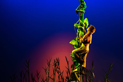 O mundo mágico de Jack - Teatro Armando Cortez até 24 de Março