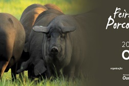 Feira do Porco Alentejano 2015 em Ourique
