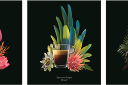 Nespresso alarga gama Pure Origin