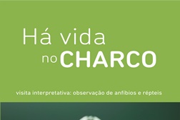 "Há vida no charco"
