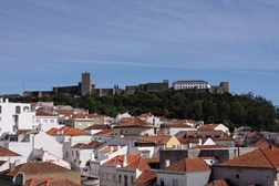 Cidade Europeia do Vinho 2017 escolhida em Palmela