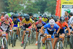 Festa da juventude vai inundar Almeirim de ciclismo