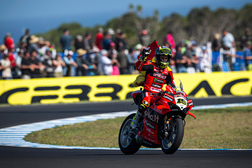 SBK 2025 – Phillip Island Bulega e Ducati intocáveis!
