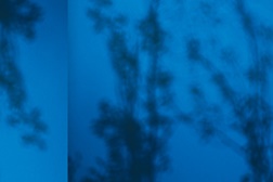 Companhia Nacional de Bailado apresenta “Tempestades” no Teatro Camões