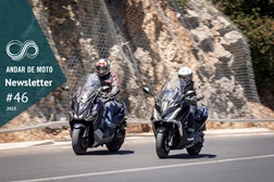 Newsletter nº 46/2023 - 15 de Novembro de 2023
