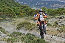 Ruben Faria