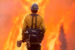 Canal Odisseia recorda Pedrógão Grande no Especial "Grandes Incêncios"