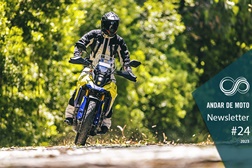 Newsletter nº 24/2023 - 13 de Junho de 2023