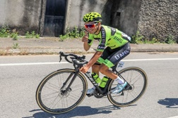 André Domingues 