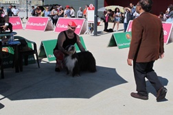Mais de mil cães em exposição em Vila Franca de Xira