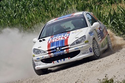 Manuel Martins
