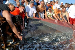 Petiscos e música celebram pescadores de Quarteira - Cartaz conta com atuação de Luciana Abreu e de Toy
