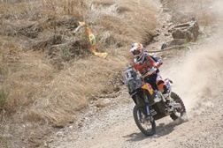 Ruiben Faria