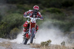 Paulo Gonçalves