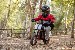 Indian eFTR Mini – O flat track acessível aos mais pequenos