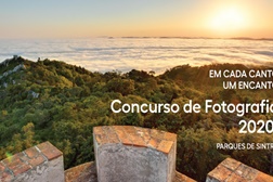 Parques de Sintra lança concurso de fotografia 