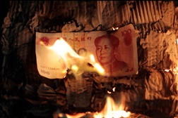 Exposição Febre no Museu do Oriente