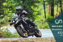 Newsletter nº 32/2025 - 14 de Agosto de 2025