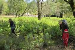 Caça às Hastes dia 12 de Abril na Tapada de Mafra