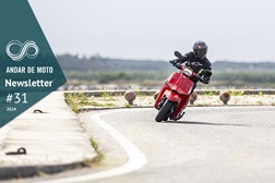 Newsletter nº 31/2024 - 7 de Agosto de 2024