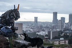 "Chappie"