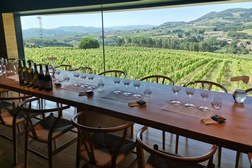 Lavradores de Feitoria convidam a descobrir o Douro através de quem o cultiva há gerações – Dias perfeitos de verão