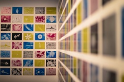 Serralves - Um ano de fotografias no Parque mostradas em livro e exposição - Até 31 de janeiro de 2026