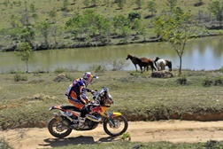 Ruben Faria