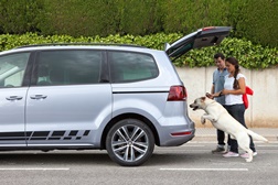 Seat dá 8 dicas para viajar com animais de estimação