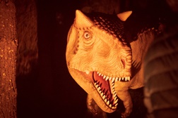 Dino Parque Lourinhã lança edição especial de primavera das Noites Jurássicas - Entre 27 e 29 de março e de 2 a 6 de abril