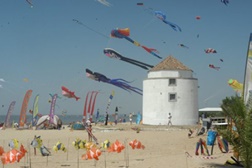 12º FIPA - Festival Internacional de Papagaios de Alcochete de 27 a 29 de Junho na Praia dos Moinhos