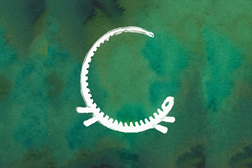 Festival Bons Sons anuncia primeiros oito nomes do cartaz - Entre 8 e 11 de Agosto na aldeia de Cem Soldos