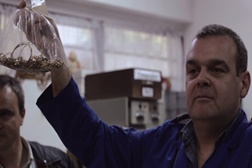 Prémios Córtex 2015 - Festival de curtas-metragens de Sintra
