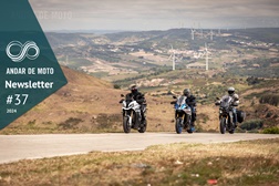 Newsletter nº 37/2024 - 17 de Setembro de 2024