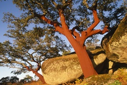 Exposição Fotográfica “Viagens” de Pedro Martins no Alegro Castelo Branco