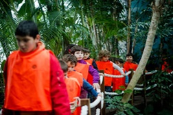 Férias Debaixo de Água no Oceanário de Lisboa